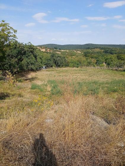 Casă cu Teren 2254 Mp în Bruznic