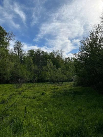 Casă cu Teren 20000 Mp în Vârfurile