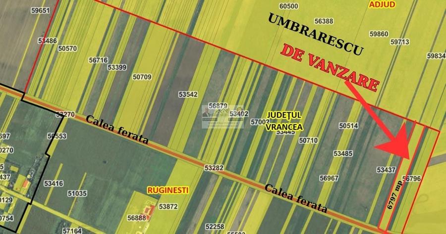 Teren agricol extravilan de 6797 mp, în Ruginești