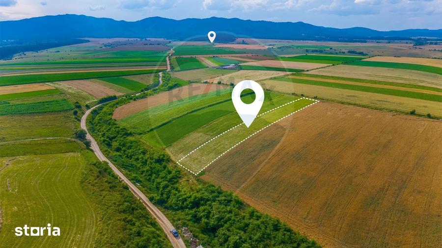Oportunitate pentru fermieri: 10.800 mp teren arabil in Rotbav, Bra?ov - 9