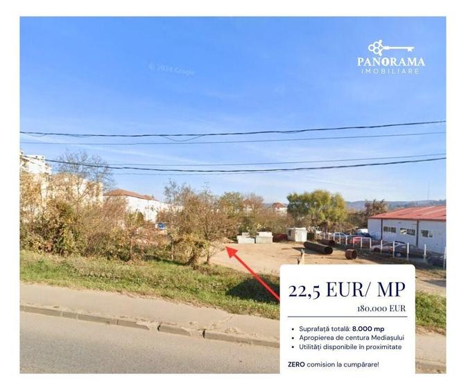 Teren Construcții intravilan de 8000 mp, în Nord-Vest