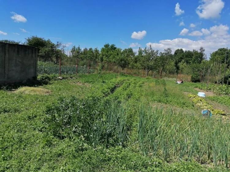 Casă cu 2 camere cu Teren 868 Mp în Central
