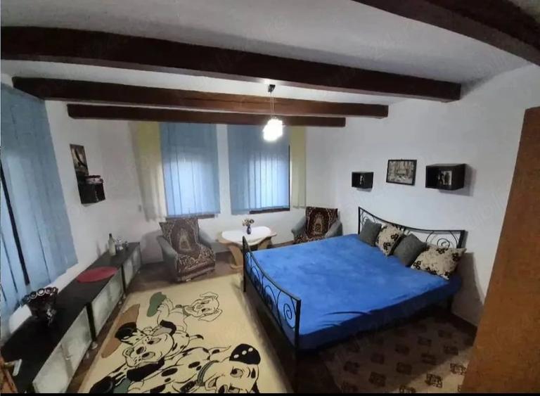 Casă cu 2 camere cu Teren 2000 Mp în Dumbrava (Unirea)