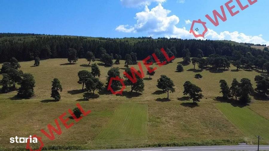 Teren de 3450 mp, în Valea Mare