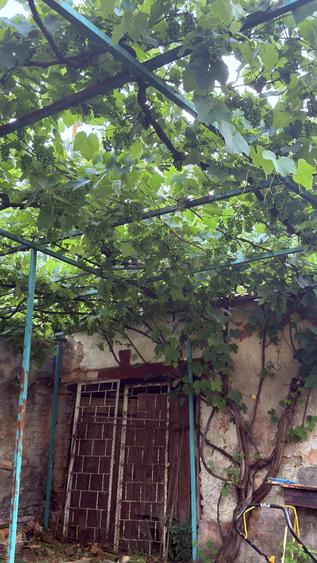 Casă cu 2 camere cu Teren 454 Mp în Central
