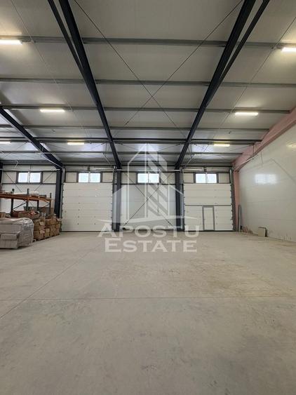 Spațiu industrial, de 300 mp, în Moșnița Nouă