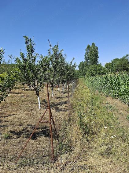 Teren de 4800 mp, în Căptălan