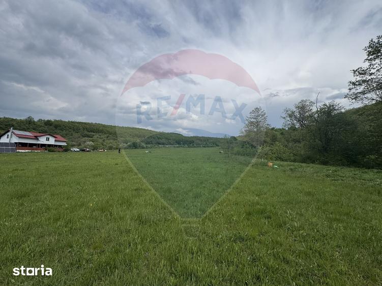 Casă cu 4 camere cu Teren 57600 Mp în Zimbor
