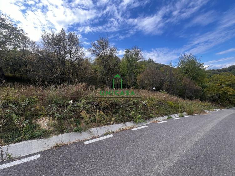 Teren Construcții intravilan de 828 mp, în Curăturile