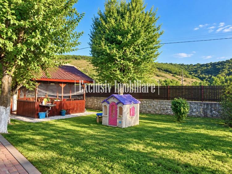Casă cu 4 camere cu Teren 3000 Mp în Adamclisi
