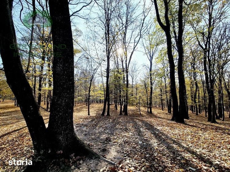 Teren de 10000 mp, în Bârnova