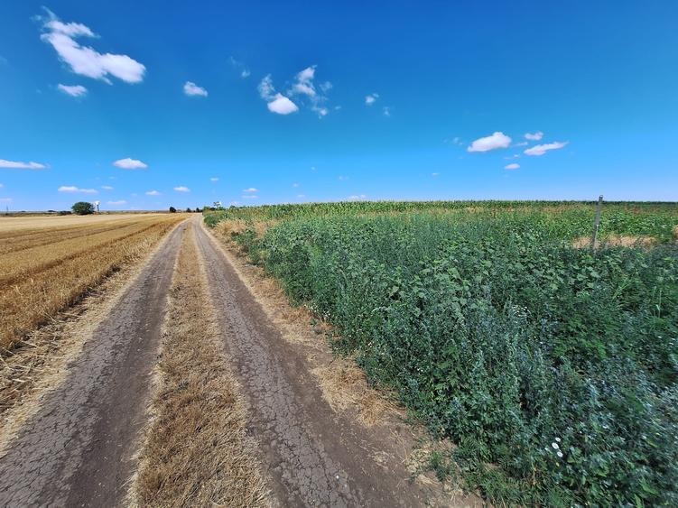 Teren Construcții intravilan de 5000 mp, în Lazu