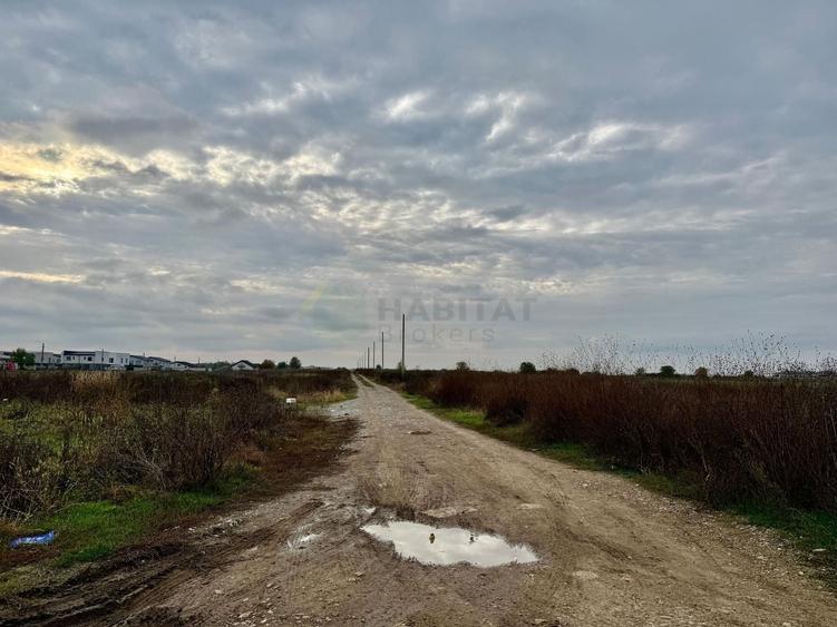 Teren Construcții intravilan de 500 mp, în Tunari
