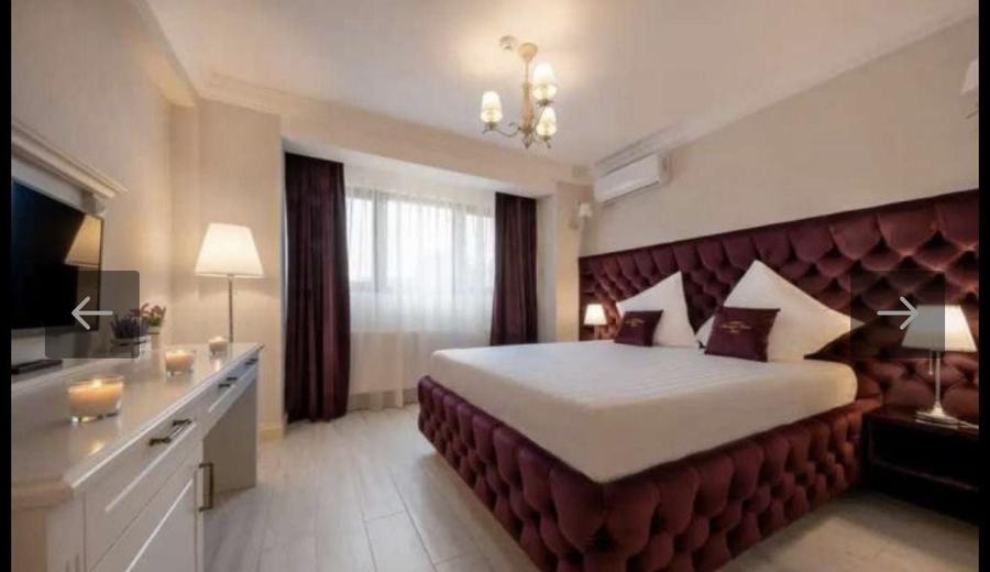 Hotel/Pensiune, în Berceni