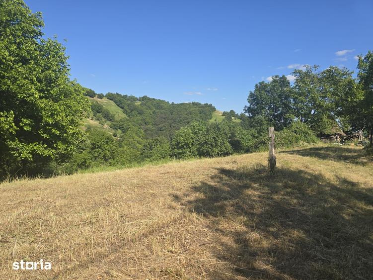 Teren de 150000 mp, în Cerbăl