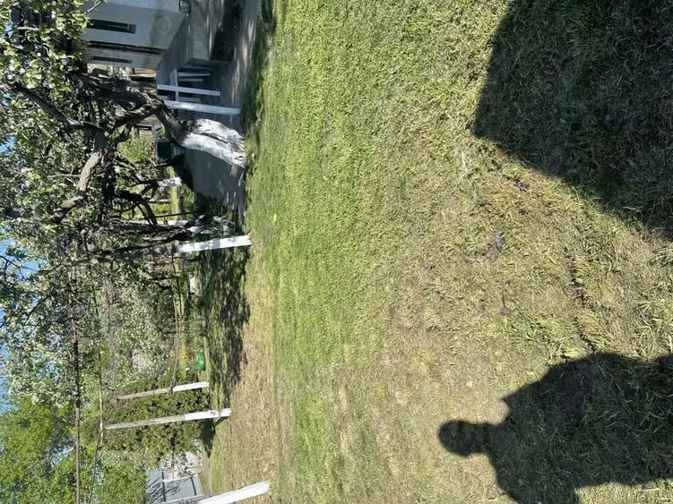 Casă cu 2 camere cu Teren 5500 Mp în Pogana