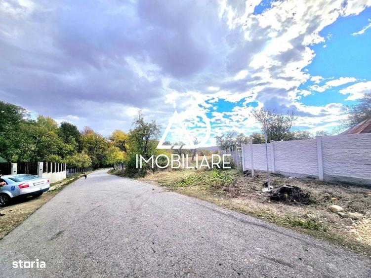 Spațiu comercial, în Bălănești