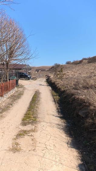Teren Sannicoara - Strada Sperantei - 2