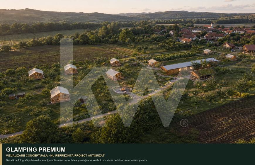 Teren Construcții intravilan de 7979 mp, în Delenii