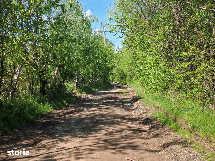 Teren de 5967 mp, în Glăjărie
