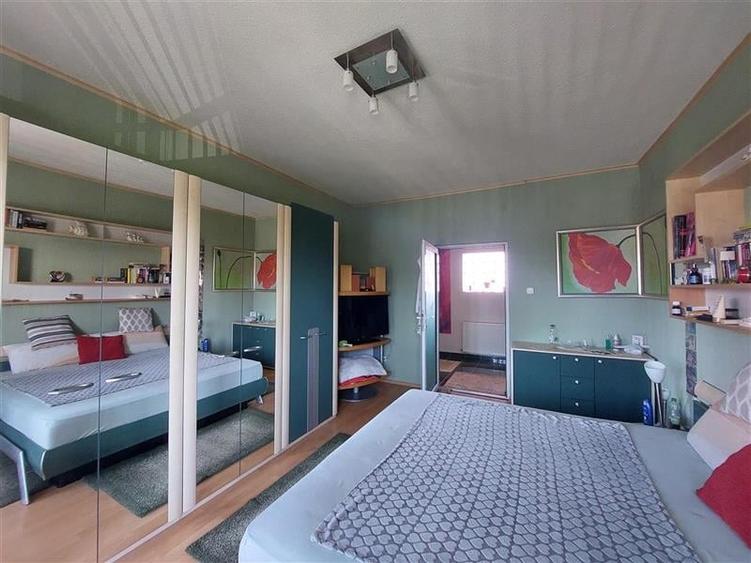Casă individuală cu 7 camere cu Piscina în Sânnicolau Mic