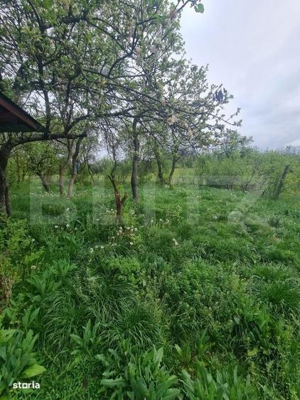 Casă cu 3 camere în Suceagu