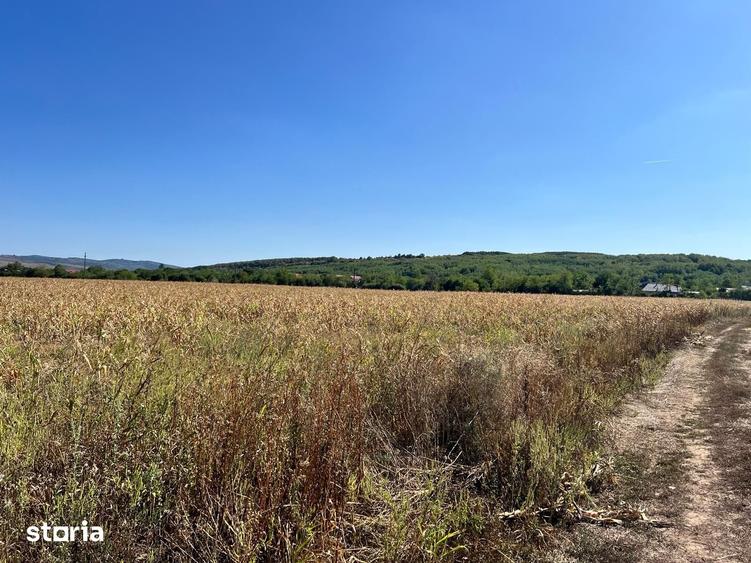 Teren de 1600 mp, în Podenii Noi