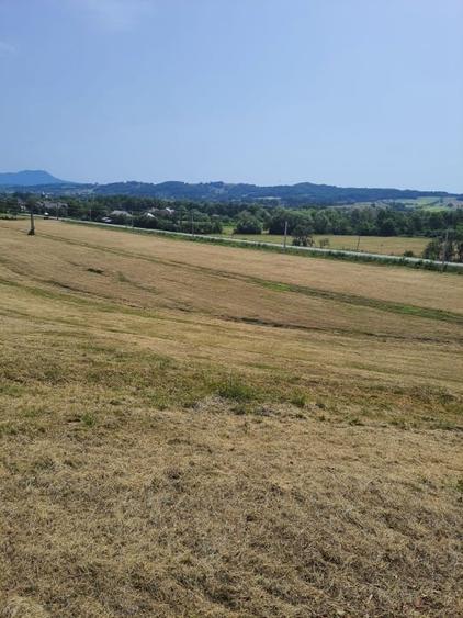 Teren agricol intravilan de 60000 mp, în Copalnic-Mănăștur