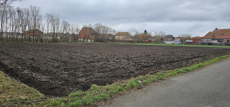 Teren Construcții intravilan de 3000 mp, în Hălchiu