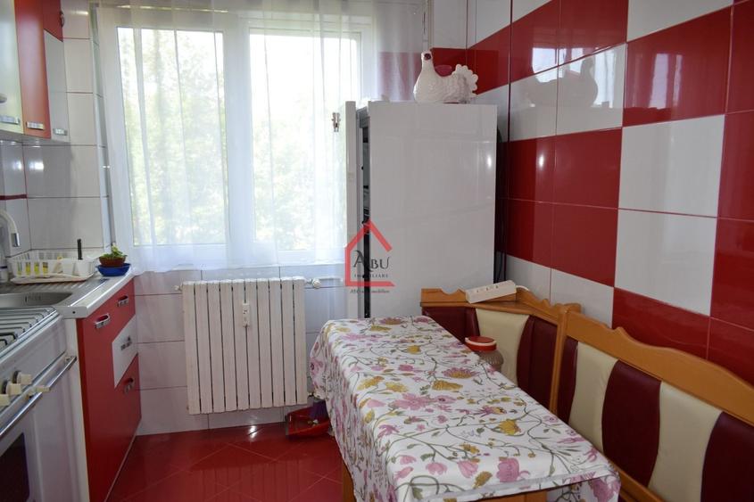 Apartament cu 3 camere decomandat, mobilat în Podu Roș