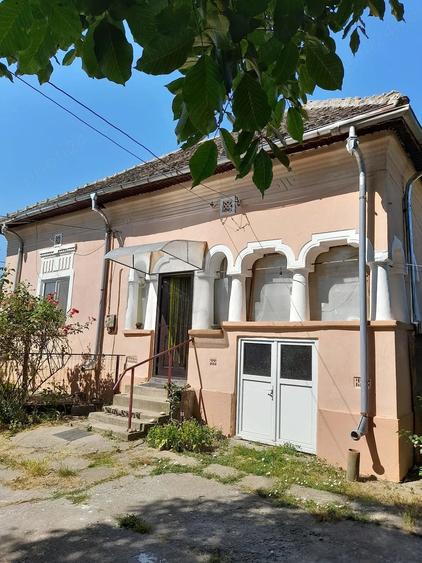Casă cu 4 camere cu Teren 3000 Mp în Rast