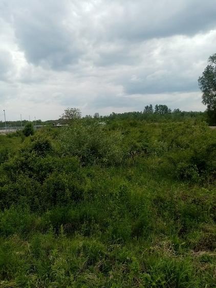 Teren Construcții intravilan de 3356 mp, în Răzvad