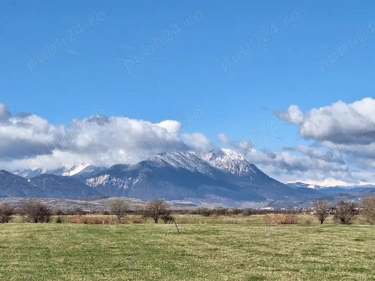 Teren de 2500 mp, în Pănicel