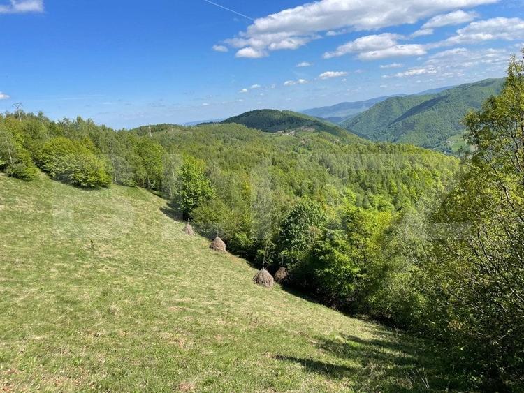 Teren agricol extravilan de 6000 mp, în Valea Ierii