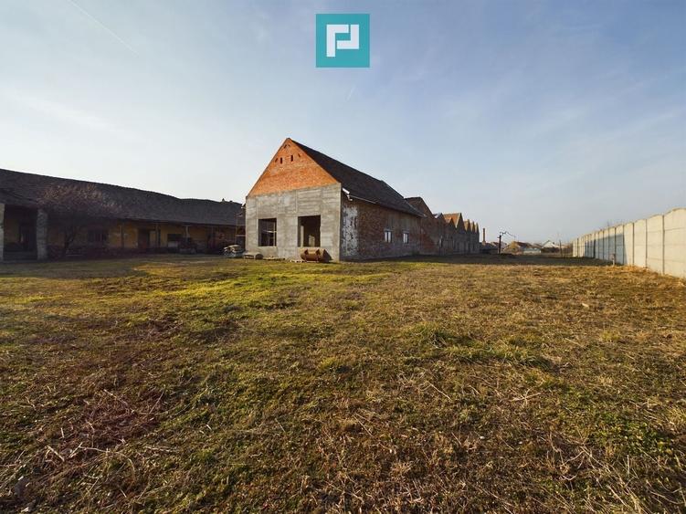 Teren Construcții intravilan de 7360 mp, în Periam