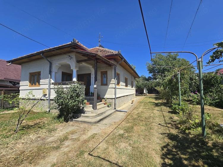 Casă cu Teren 11397 Mp în Central