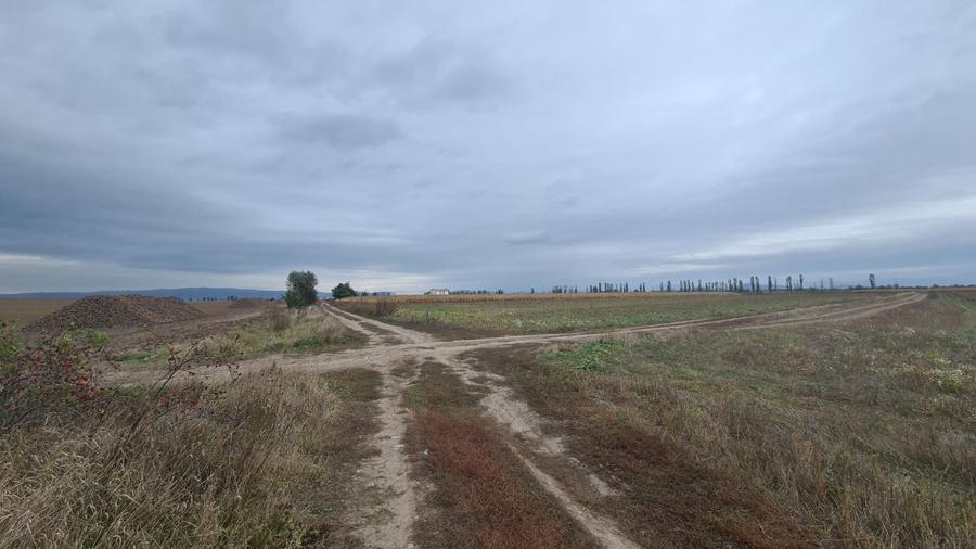 Teren agricol extravilan de 48100 mp, în Hălchiu