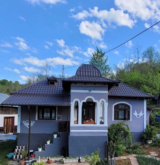 Vand casa la tara - 5
