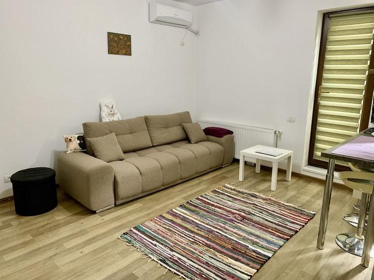 Garsoniera de inchiriat Bucurestii Noi Parc Bazilescu - 5