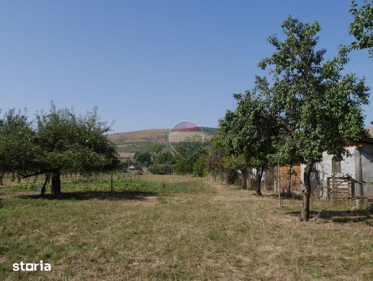 Casă cu 4 camere cu Teren 2481 Mp în Cricău