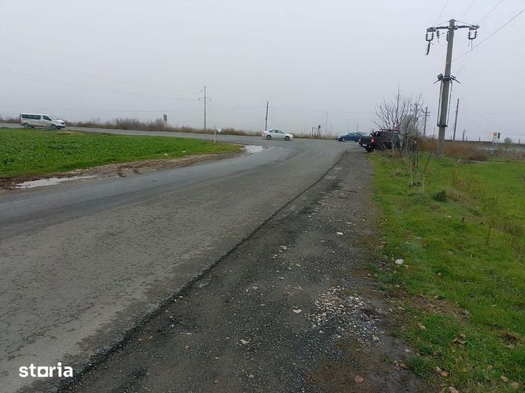 Teren de 10000 mp, în Lumina