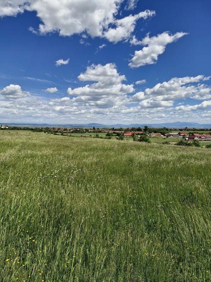 Teren de 14900 mp, în Crizbav