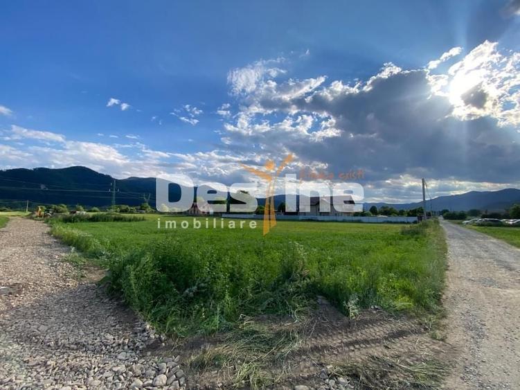 Teren Construcții intravilan de 735 mp, în Alexandru cel Bun