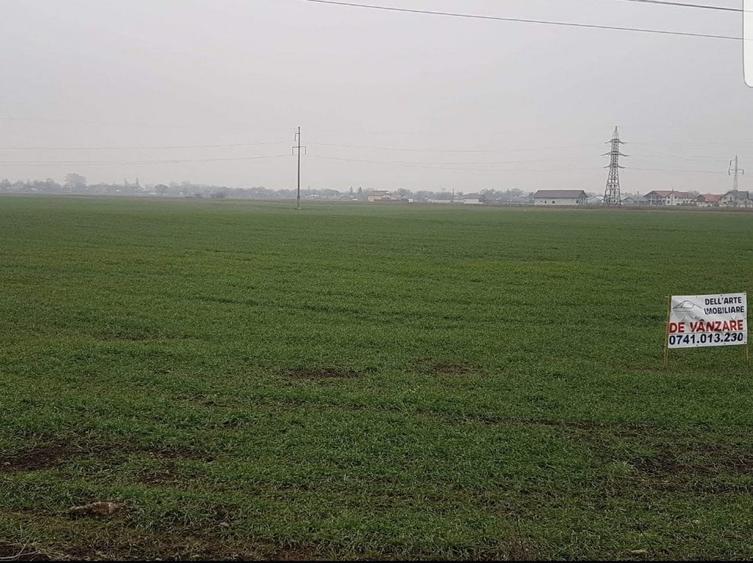 Teren Construcții intravilan de 8400 mp, în Roznov