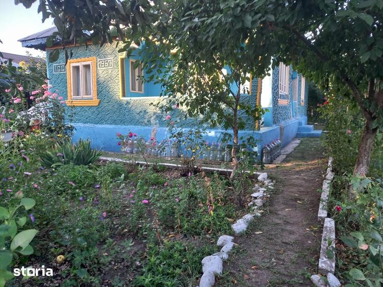Casă cu 4 camere cu Teren 3590 Mp în Colceag