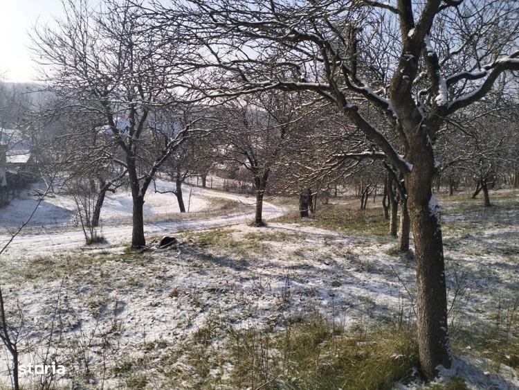 Teren de 5950 mp, în Scorțeni