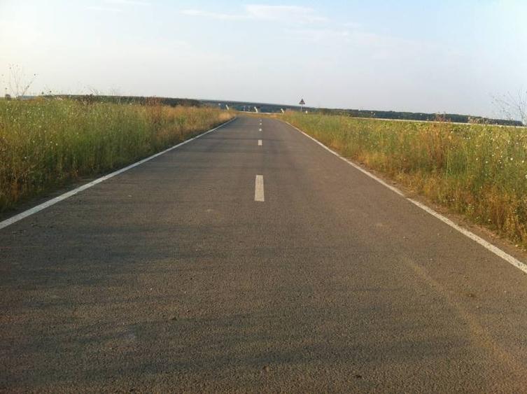 Teren intravilan de 31500 mp, în Ștefăneștii de Jos