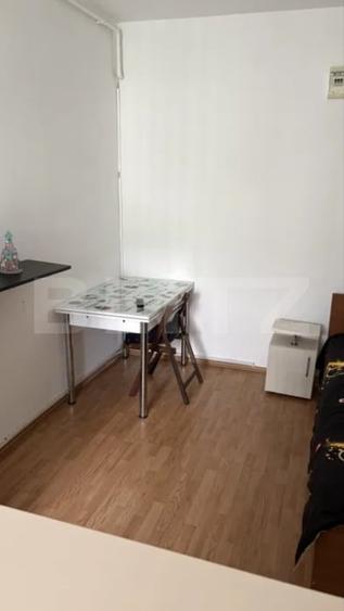 Garsonieră de închiriat, 30 mp, zona Noua - 4