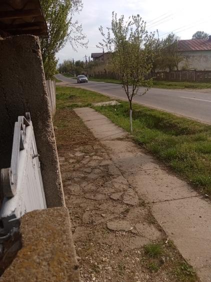 Teren de 700 mp, în Băcălești