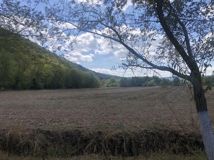 Casă cu 4 camere în Slava Rusă